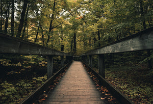 Photo of a wooden bridge in a forest with the word natural across the photo